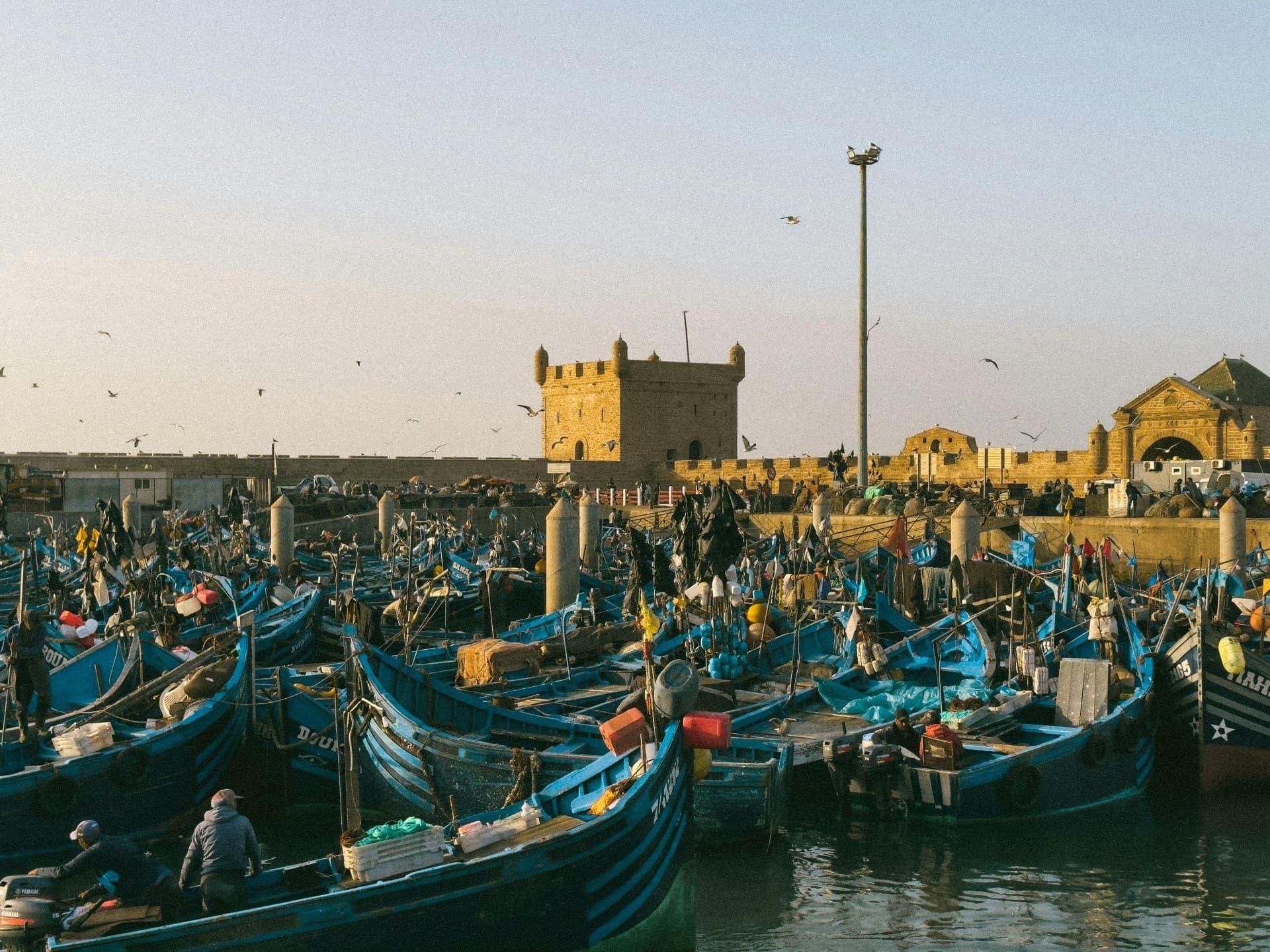 Scenes from Morocco